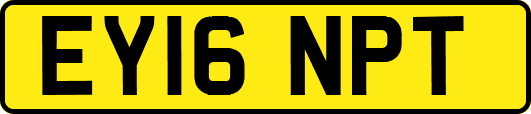 EY16NPT