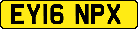 EY16NPX