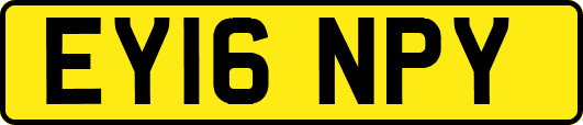 EY16NPY