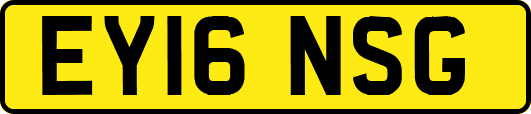 EY16NSG
