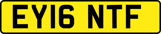 EY16NTF