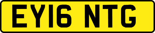EY16NTG