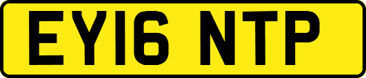 EY16NTP