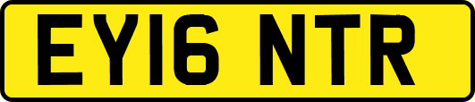 EY16NTR
