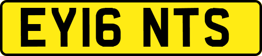 EY16NTS