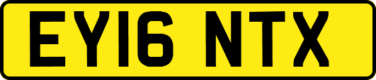 EY16NTX
