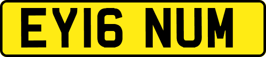 EY16NUM