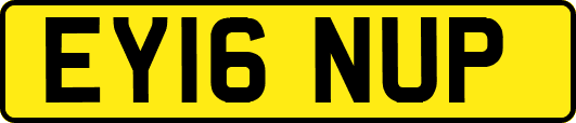 EY16NUP