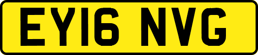 EY16NVG