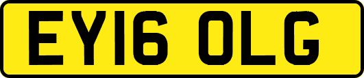 EY16OLG
