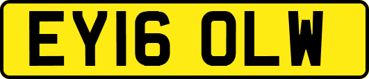 EY16OLW