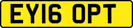 EY16OPT