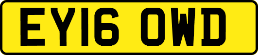 EY16OWD