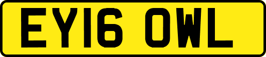 EY16OWL