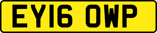 EY16OWP