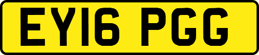 EY16PGG