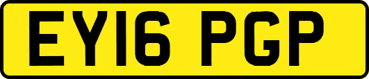 EY16PGP
