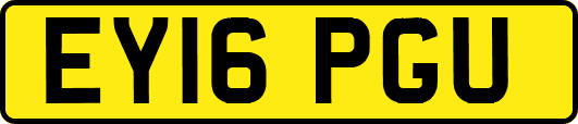 EY16PGU