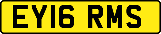 EY16RMS