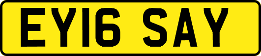 EY16SAY
