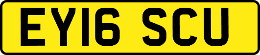 EY16SCU