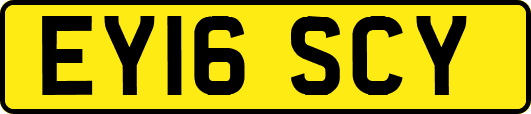 EY16SCY