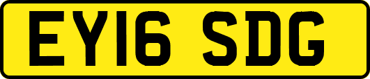 EY16SDG