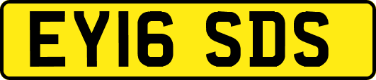 EY16SDS