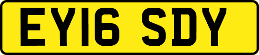 EY16SDY