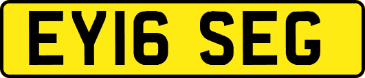 EY16SEG