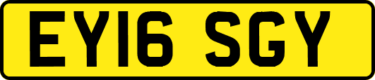 EY16SGY