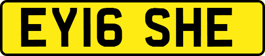 EY16SHE