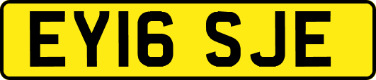 EY16SJE