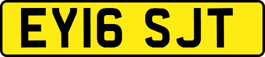 EY16SJT