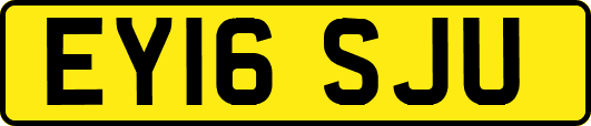 EY16SJU