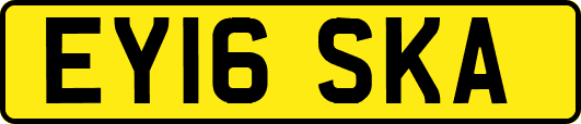 EY16SKA