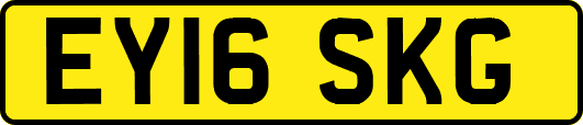 EY16SKG