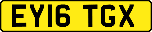 EY16TGX
