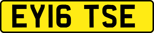EY16TSE