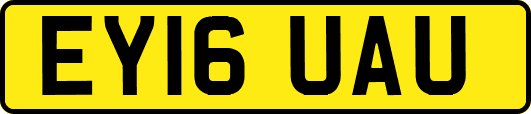 EY16UAU