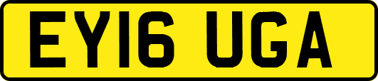 EY16UGA