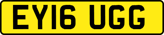 EY16UGG