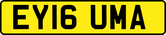 EY16UMA