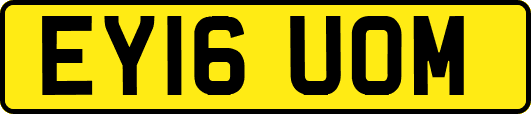 EY16UOM