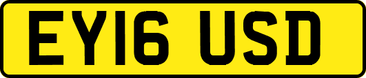 EY16USD
