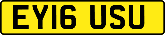 EY16USU