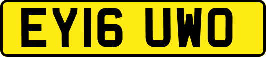 EY16UWO