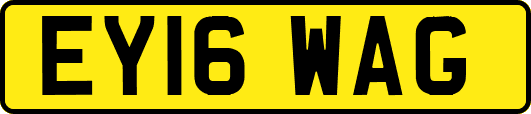 EY16WAG