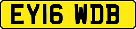 EY16WDB
