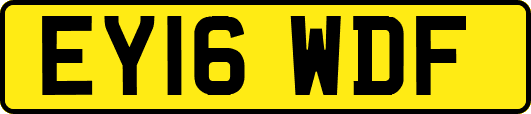 EY16WDF